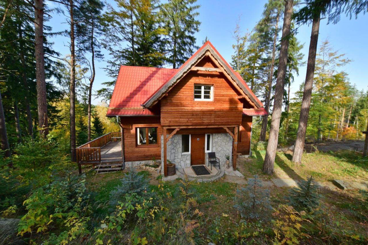 Lesny Domek Kolo Karpacza - Apartamentuj Exterior photo