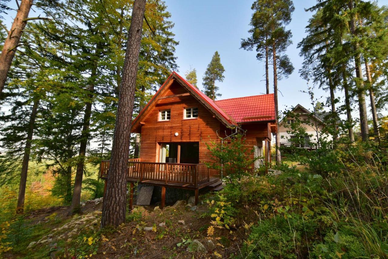 Lesny Domek Kolo Karpacza - Apartamentuj Exterior photo