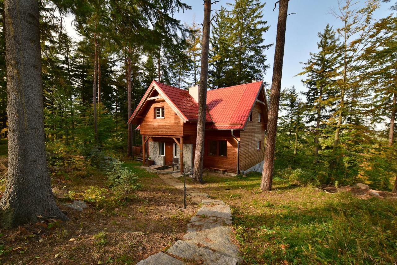 Lesny Domek Kolo Karpacza - Apartamentuj Exterior photo