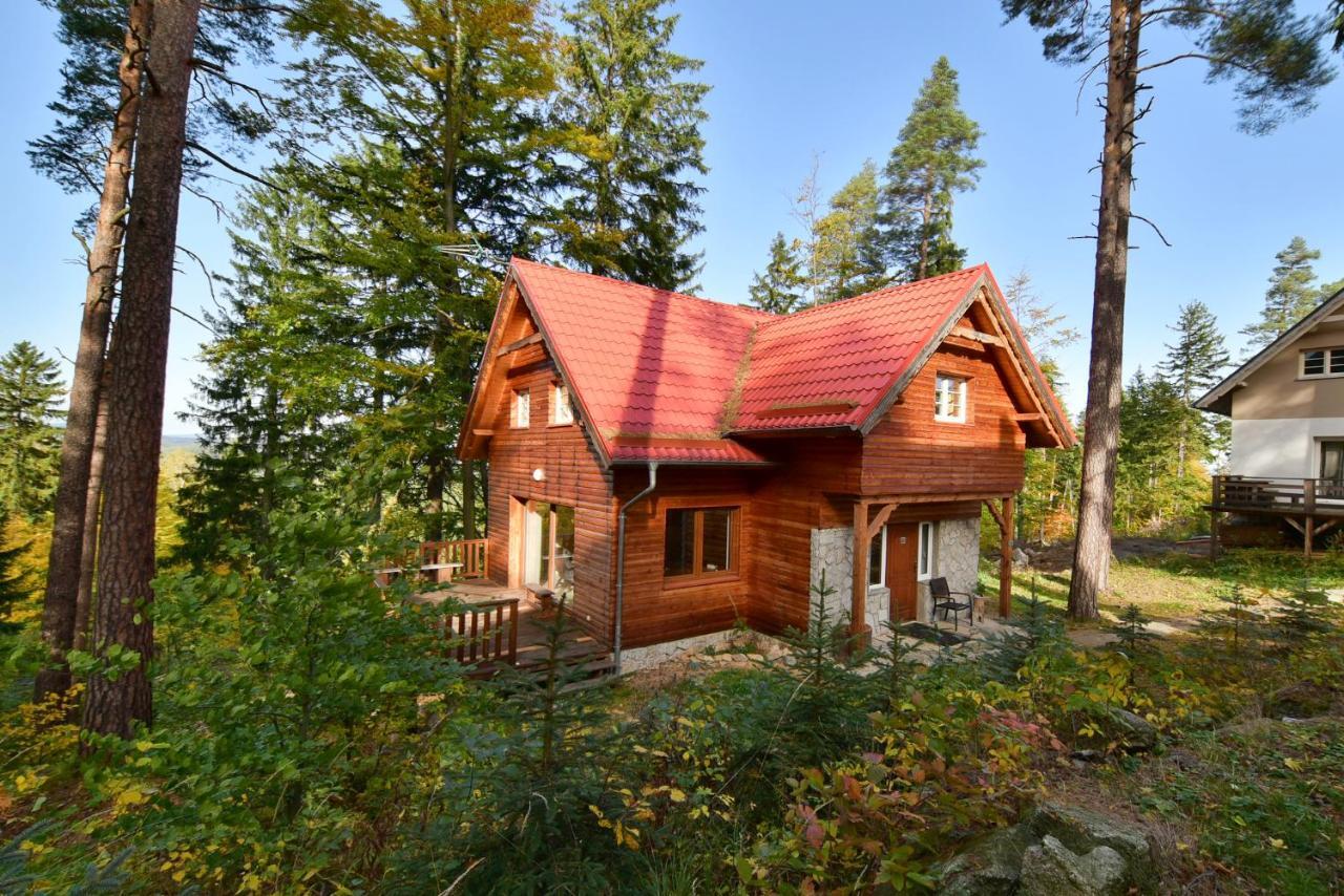 Lesny Domek Kolo Karpacza - Apartamentuj Exterior photo